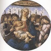 Madonna and Child with eight Angels or Raczinskj Tondo (mk36), Sandro Botticelli